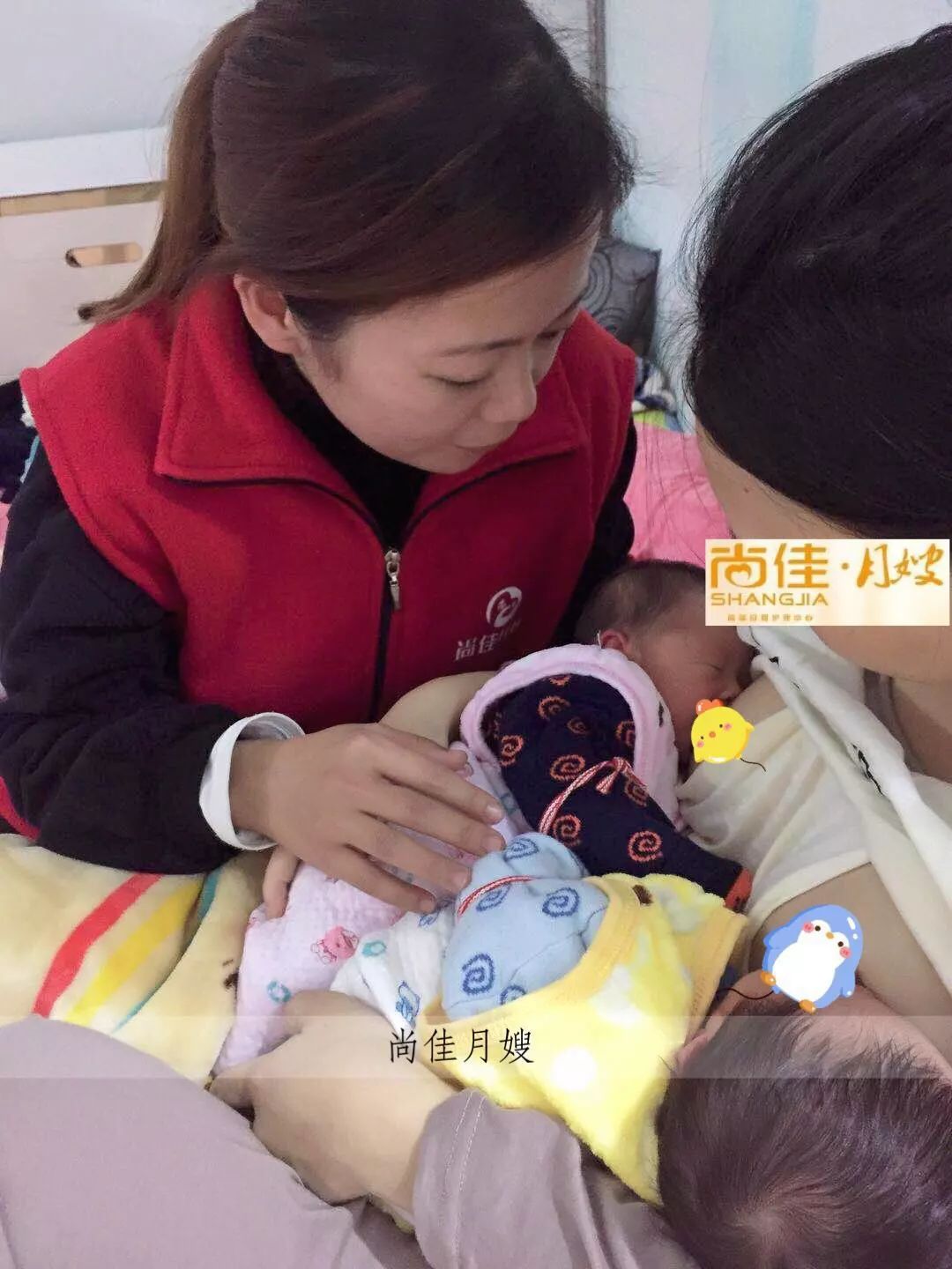 尚佳專業(yè)月嫂丨初生嬰兒需要吃多少？